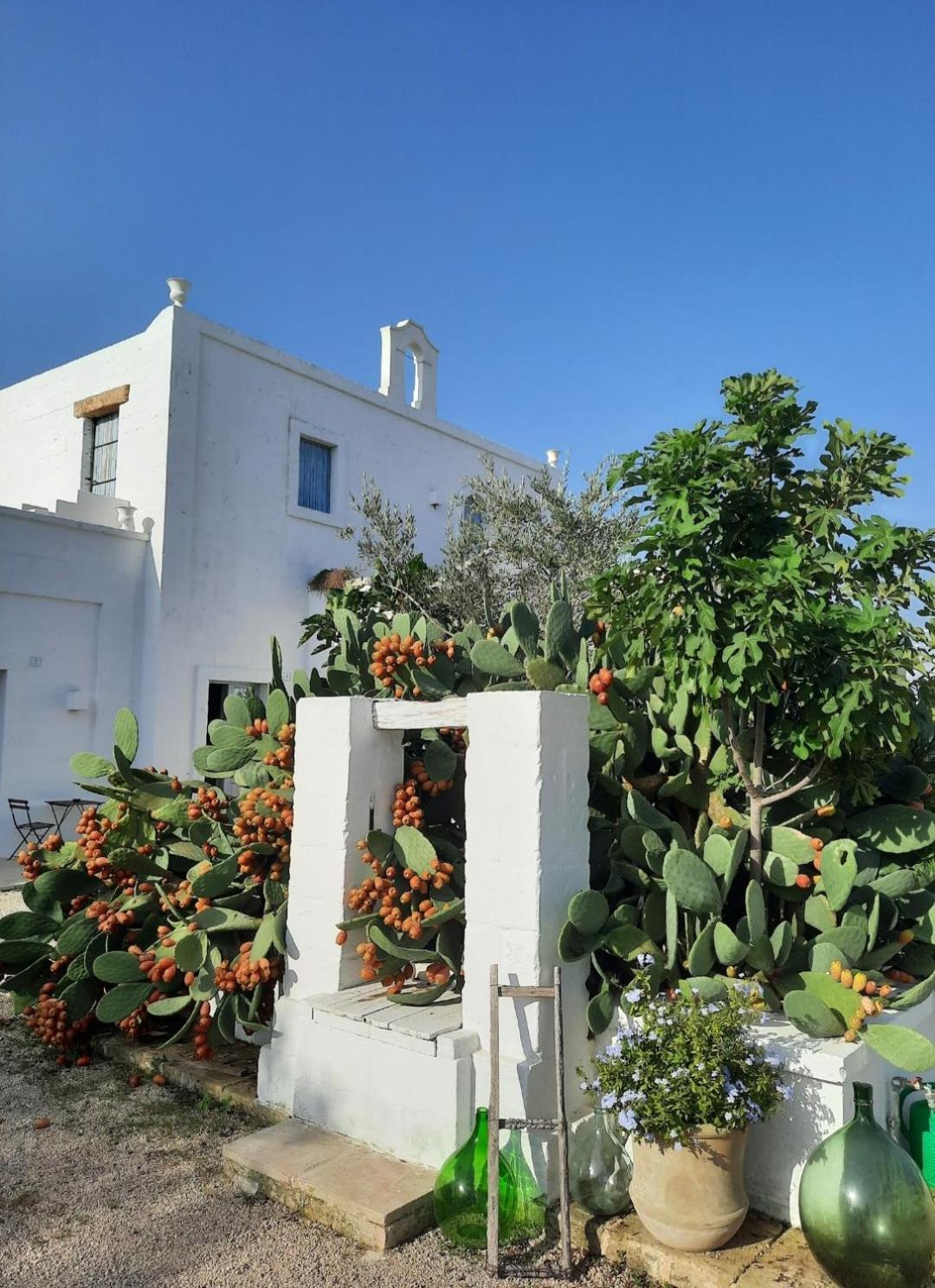 Masseria Fulcignano Galatone Bagian luar foto