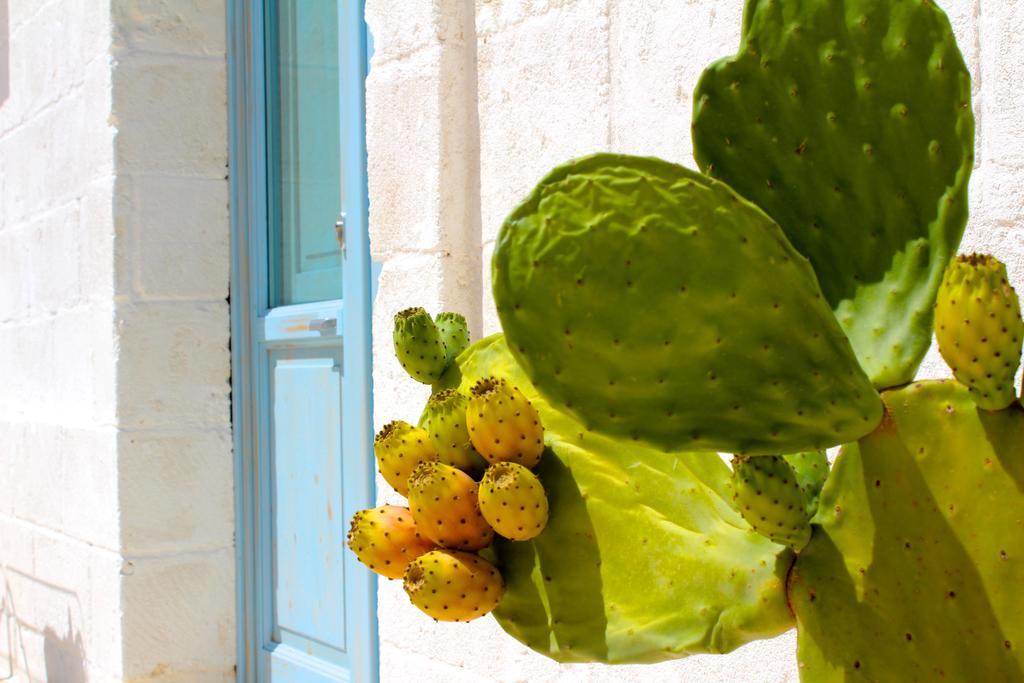 Masseria Fulcignano Galatone Bagian luar foto