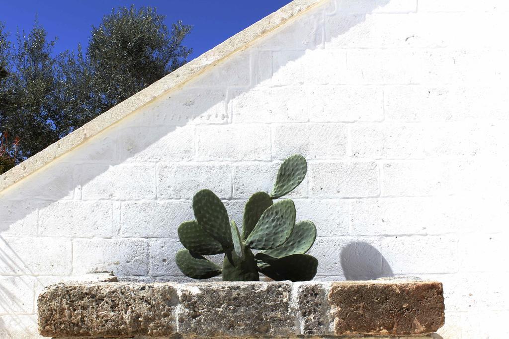 Masseria Fulcignano Galatone Bagian luar foto